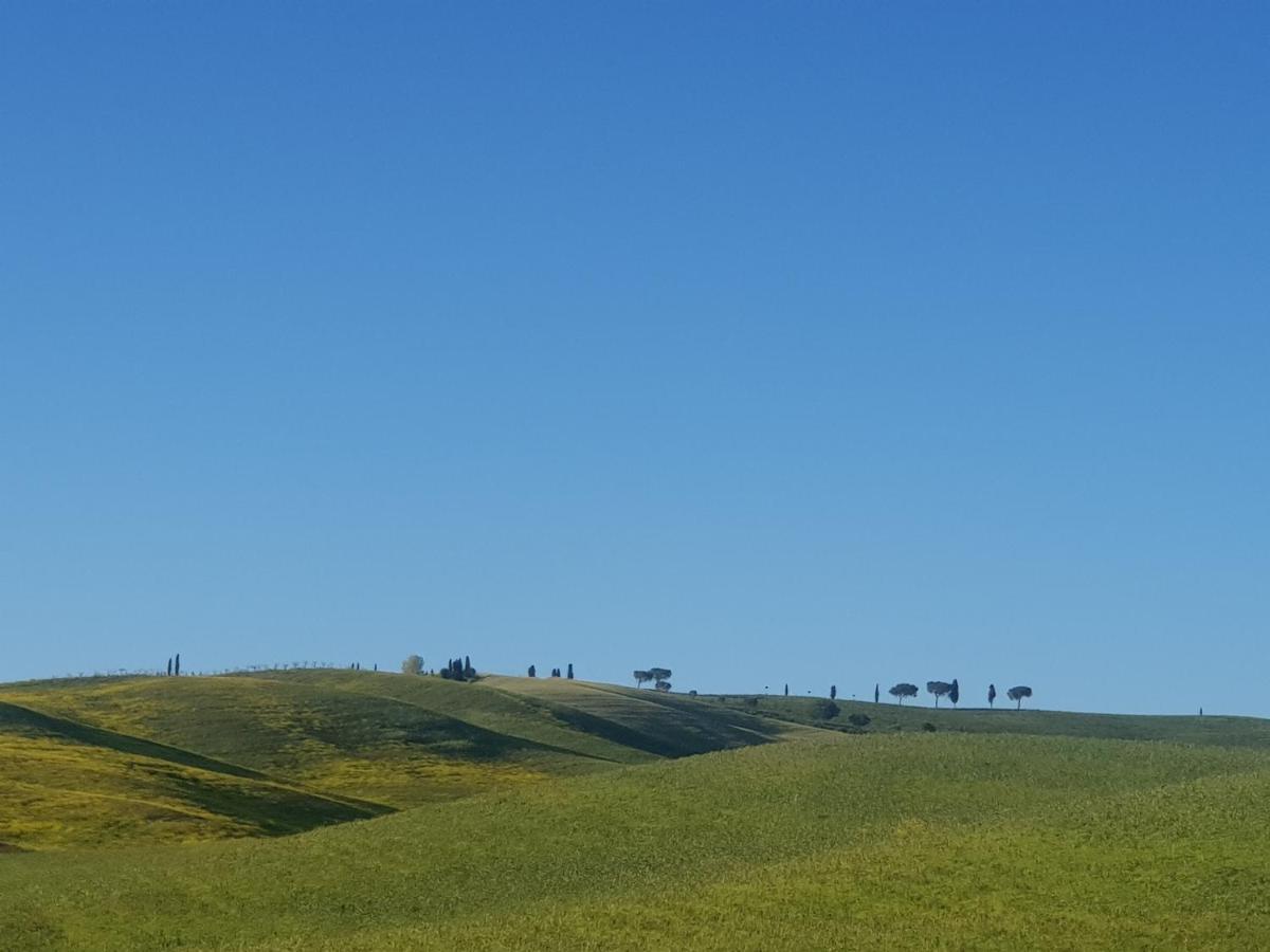 Ferienwohnung Casa Per L'Osticcio Vista Sulla Val D'Orcia Montalcino Exterior foto