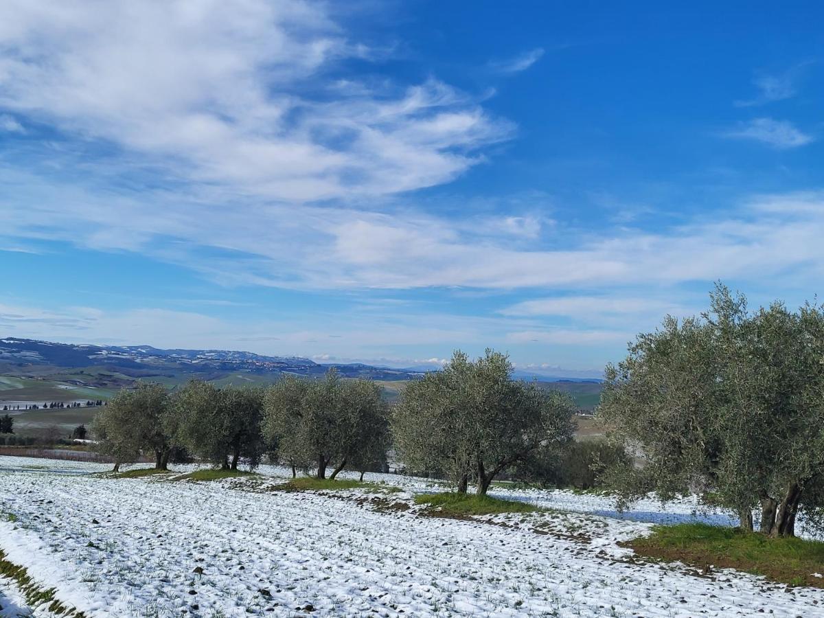 Ferienwohnung Casa Per L'Osticcio Vista Sulla Val D'Orcia Montalcino Exterior foto