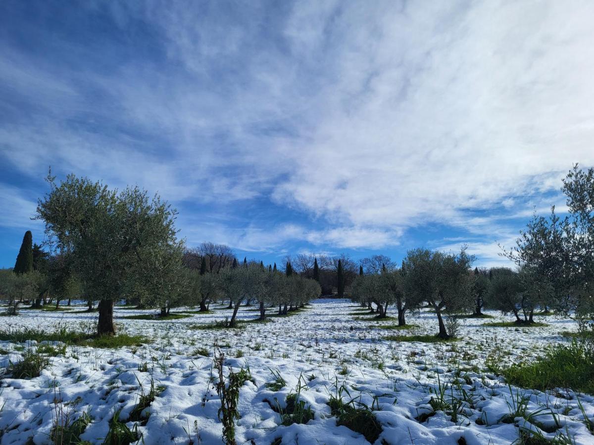 Ferienwohnung Casa Per L'Osticcio Vista Sulla Val D'Orcia Montalcino Exterior foto